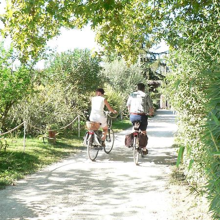 International Glamping Lago Di Bracciano Тревиняно Романо Екстериор снимка
