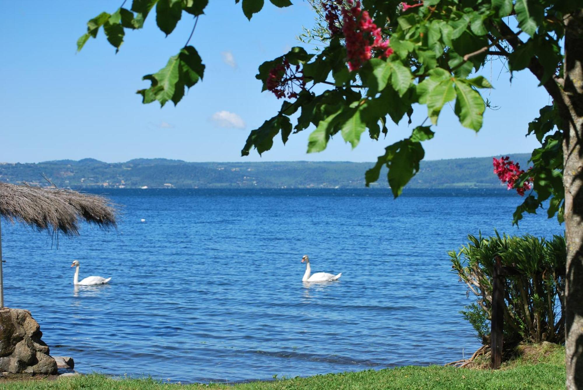 International Glamping Lago Di Bracciano Тревиняно Романо Екстериор снимка