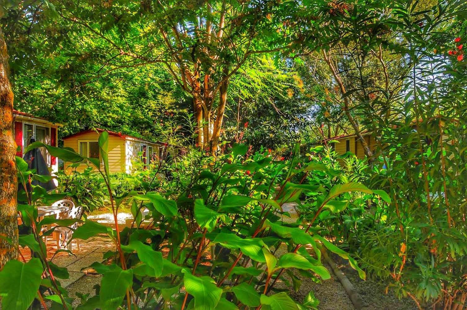 International Glamping Lago Di Bracciano Тревиняно Романо Екстериор снимка